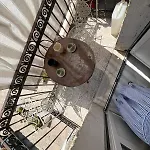 Trulli & Fichi 3 * Bari